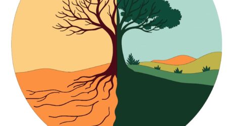 Culte de fête de la Création (dim. 21 sept.)