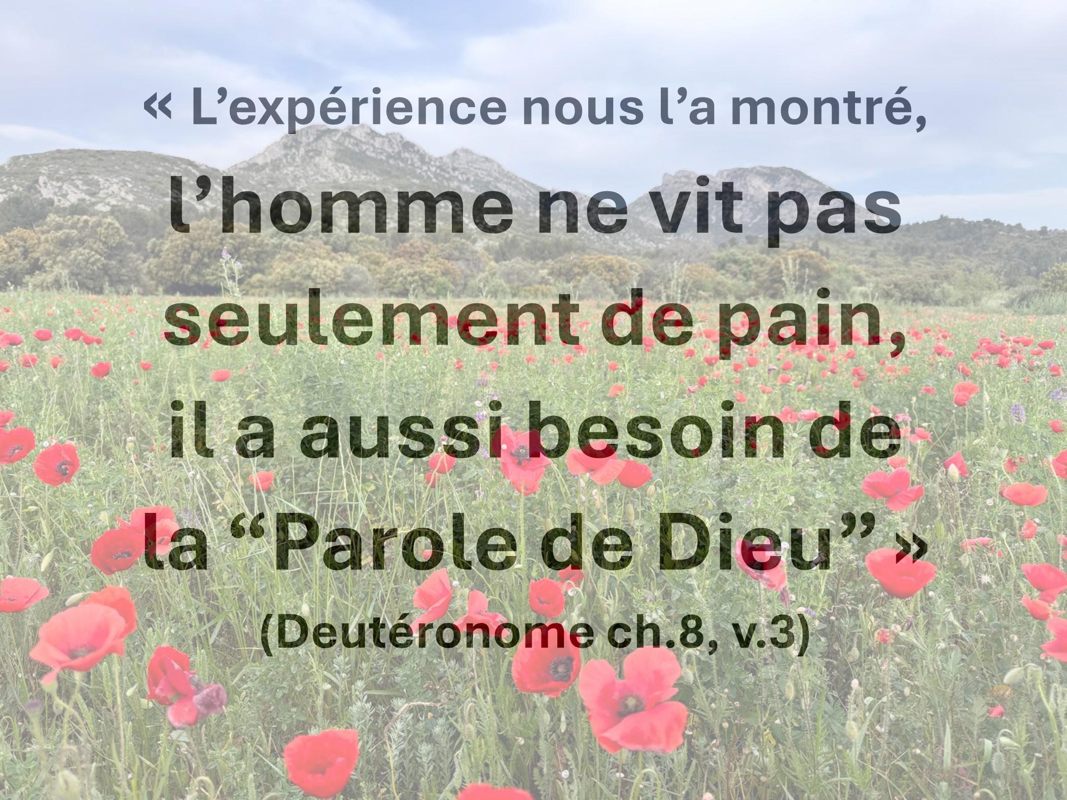 https://pays-salonais.epudf.org/wp-content/uploads/sites/34/2025/10/Meditations1.png