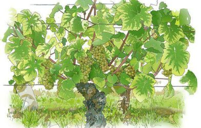 Méditation octobre 2025 – 2