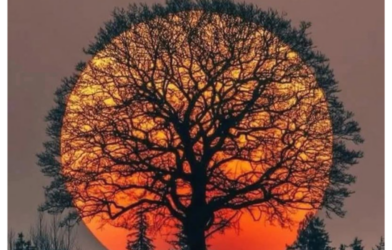 Méditation 15 février 2026