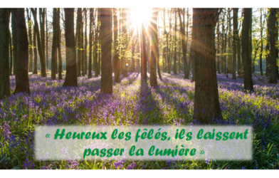 Méditation 17 mai 2026