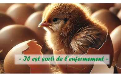 Méditation 5 avril 2026